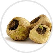 Maca Đen Peru